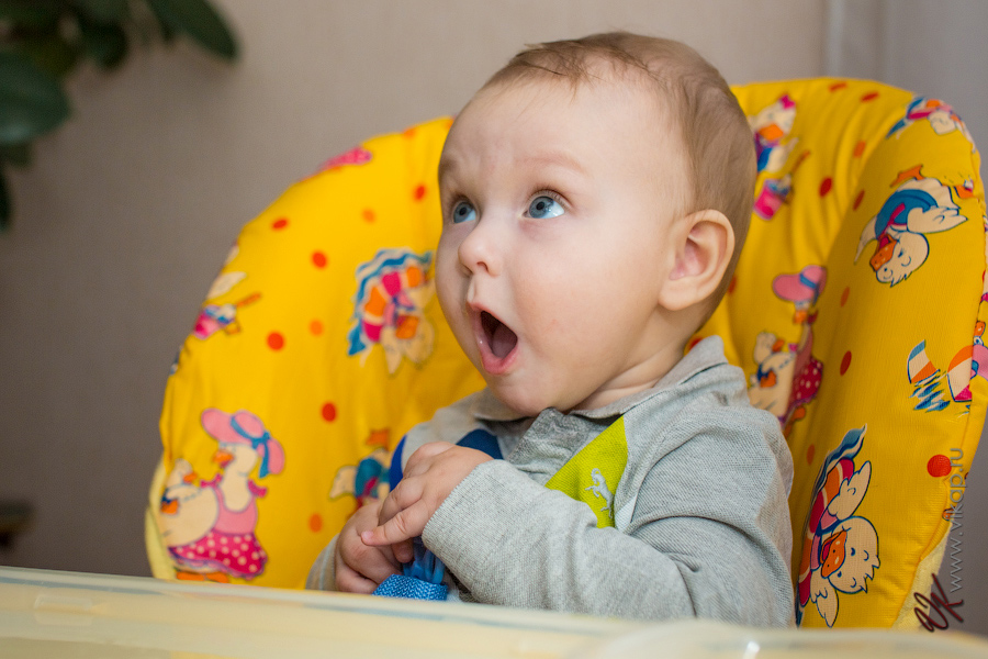 20121118 11 22 48 WED 1421