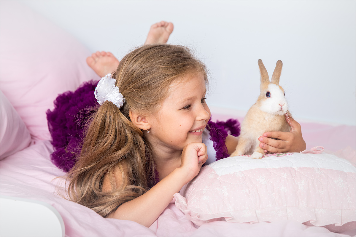 20160707 20 43 09 VIK 5534