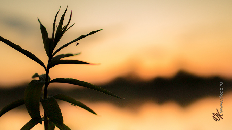 20130608 21 59 46 WED 6214