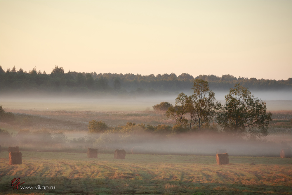 20120813 06 32 38 CX3B0206