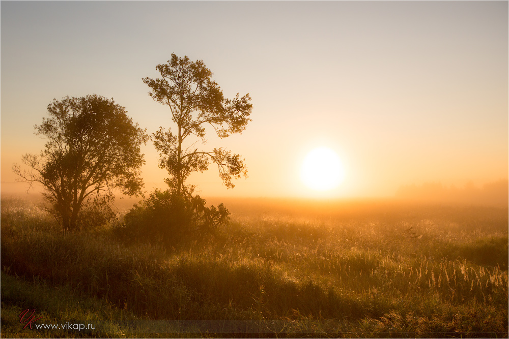 20120813 06 38 29 CX3B0207