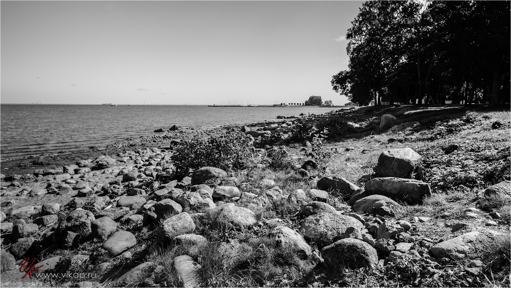 20120814 11 42 29 CX3B0285