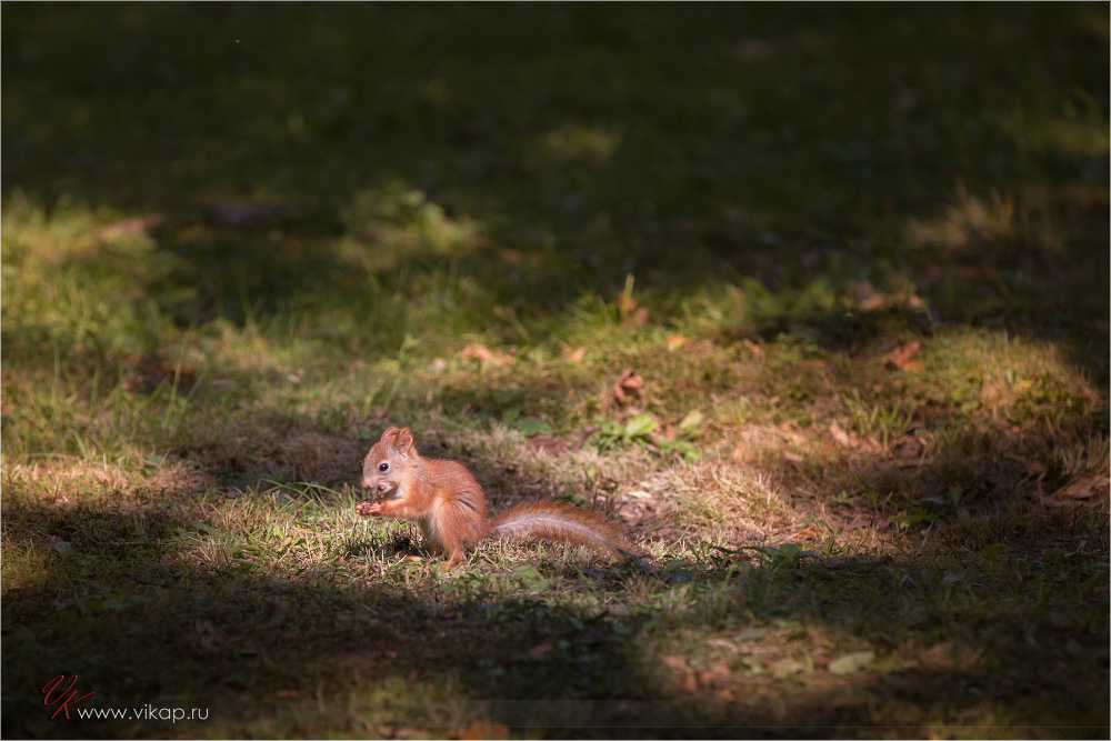 20120814 13 05 02 CX3B0435