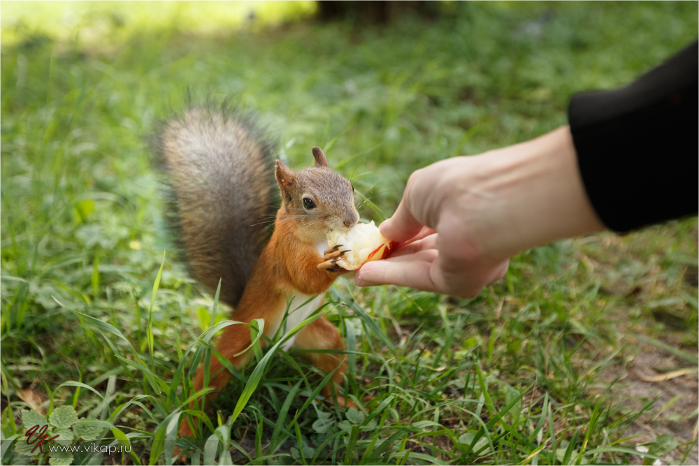 20120815 13 19 28 CX3B1040