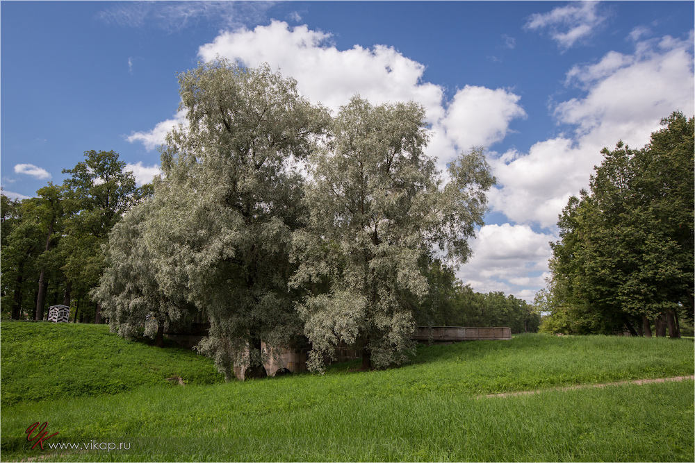 20120815 13 23 01 CX3B1046