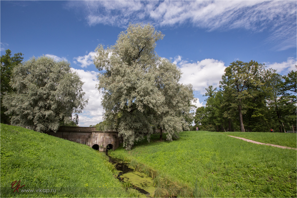 20120815 13 25 42 CX3B1048