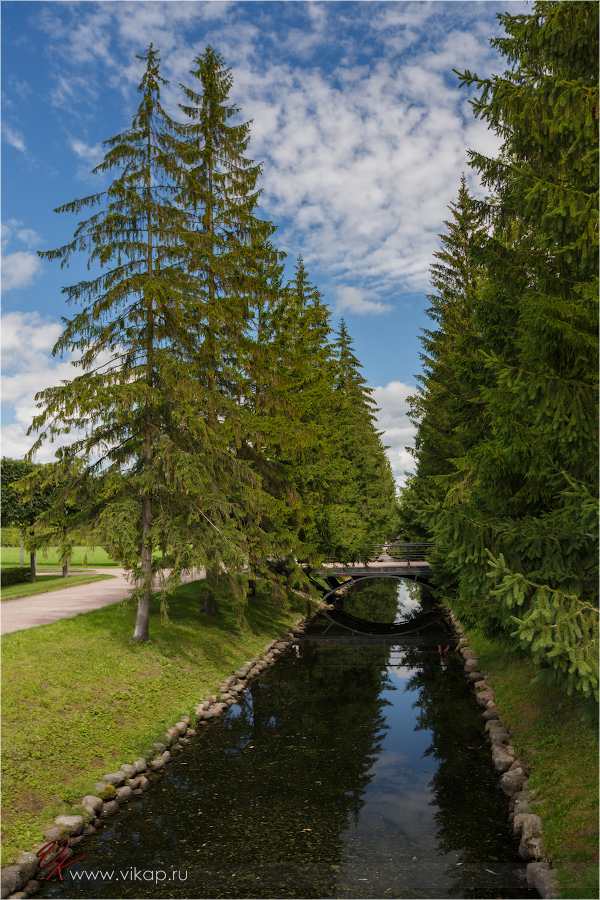 20120815 14 38 04 CX3B1159