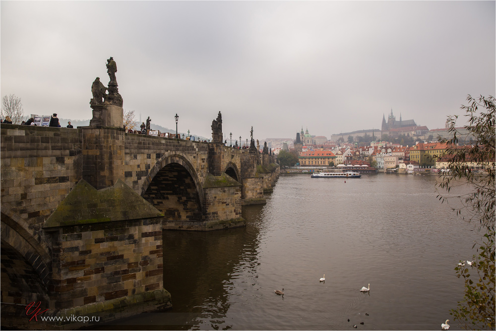 20141102 15 40 55 CX3B7805