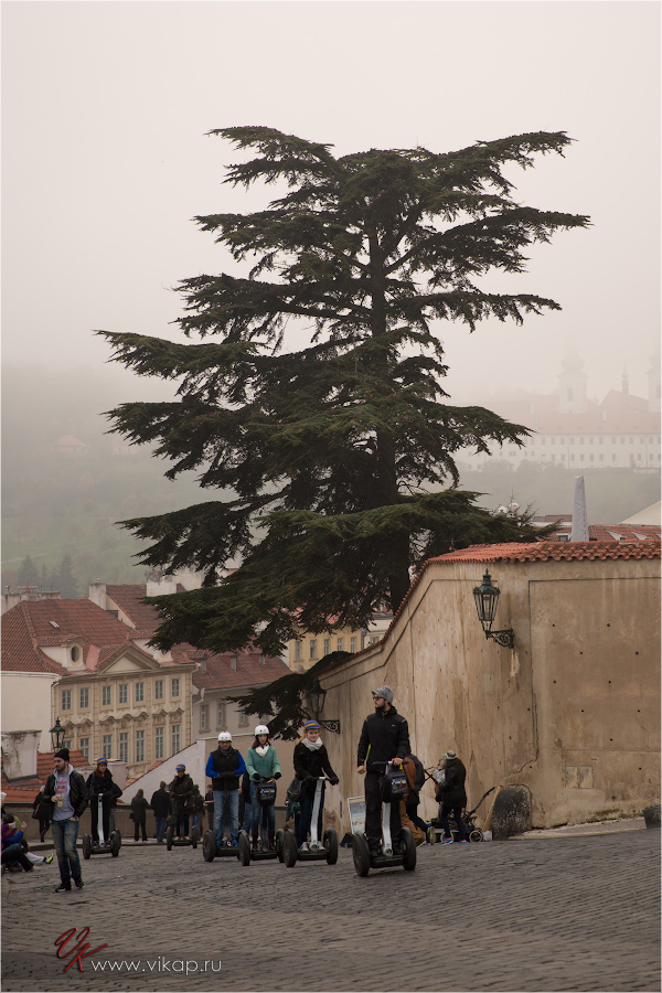 20141102 17 52 52 CX3B7920