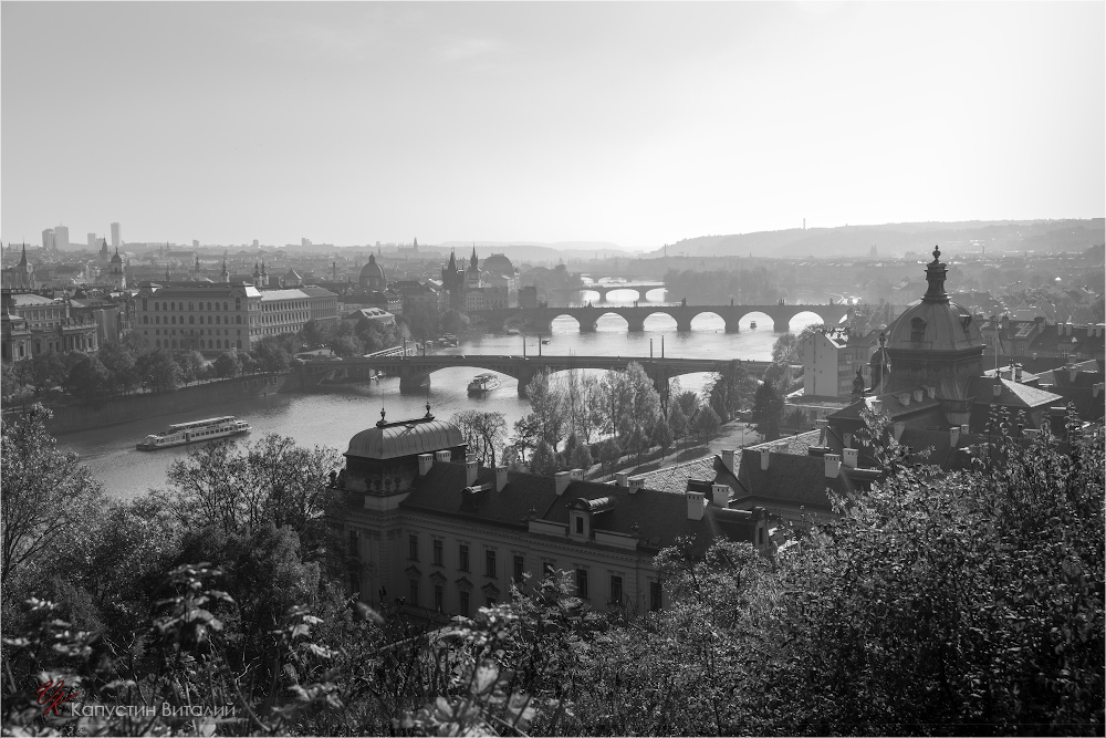 20141104 15 08 01 CX3B8520