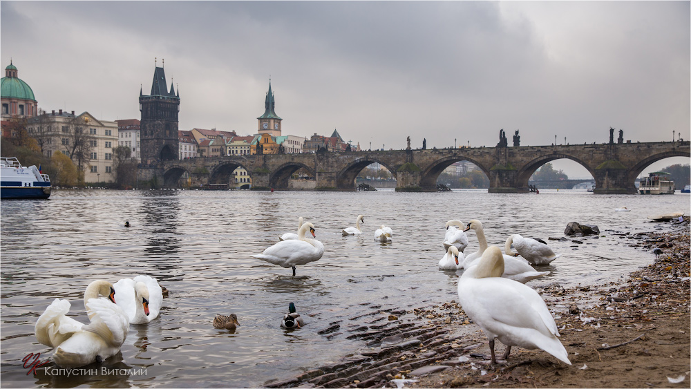 20141107 15 12 30 CX3B9852