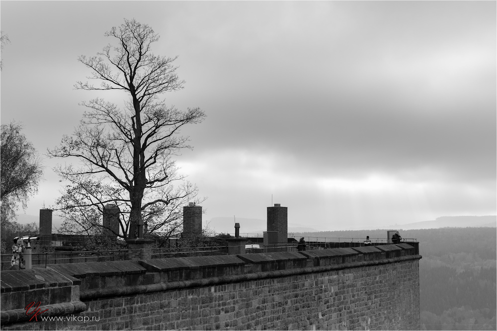 20141103 14 06 14 CX3B8263