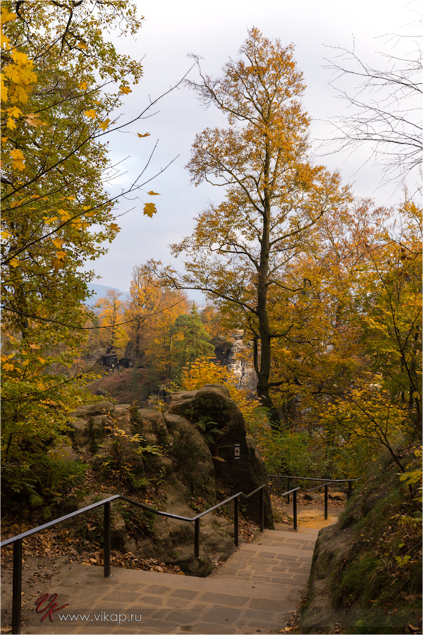 20141103 17 05 54 CX3B8397