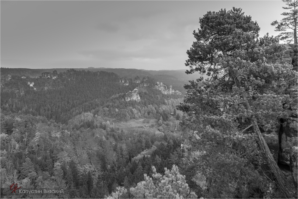 20141103 17 22 52 CX3B8470