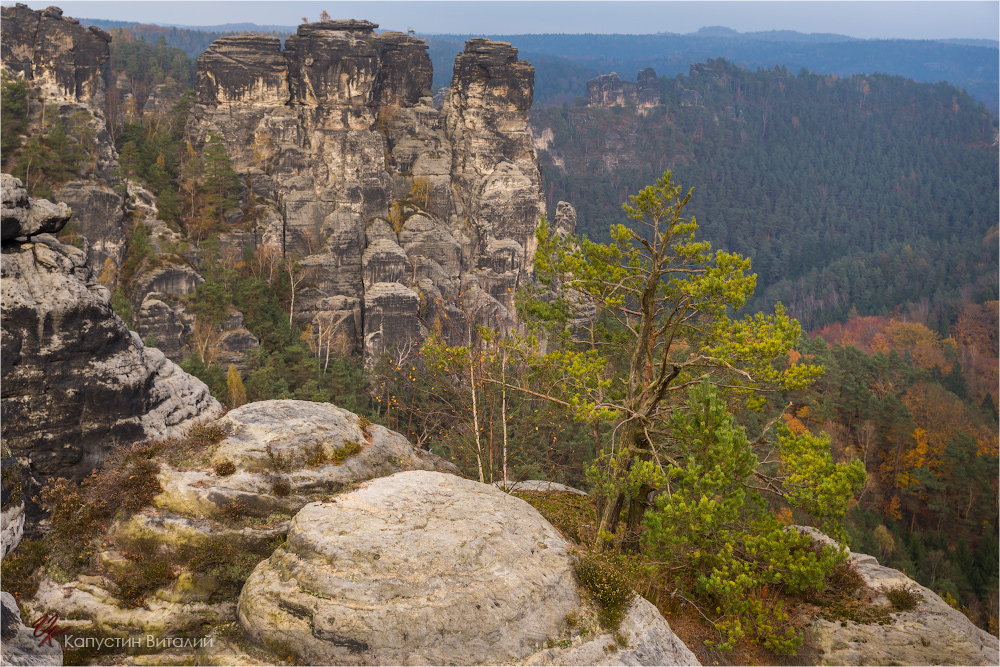 20141103 17 37 28 CX3B8504