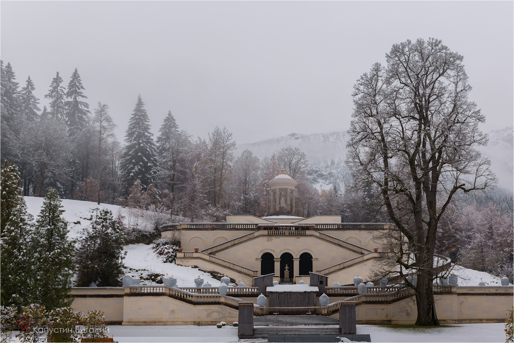 20141106 11 43 54 CX3B9112