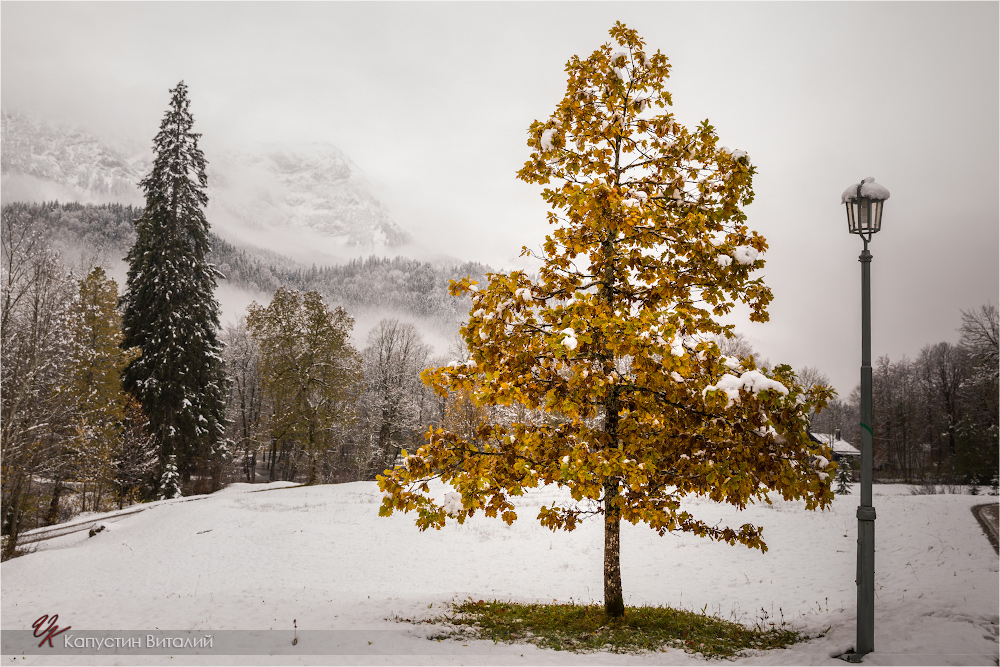 20141106 12 27 48 CX3B9214