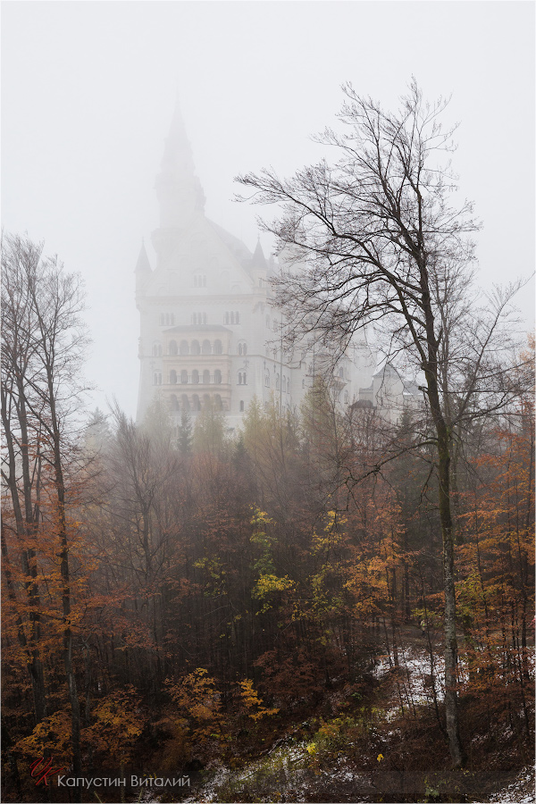 20141106 15 12 04 CX3B9366