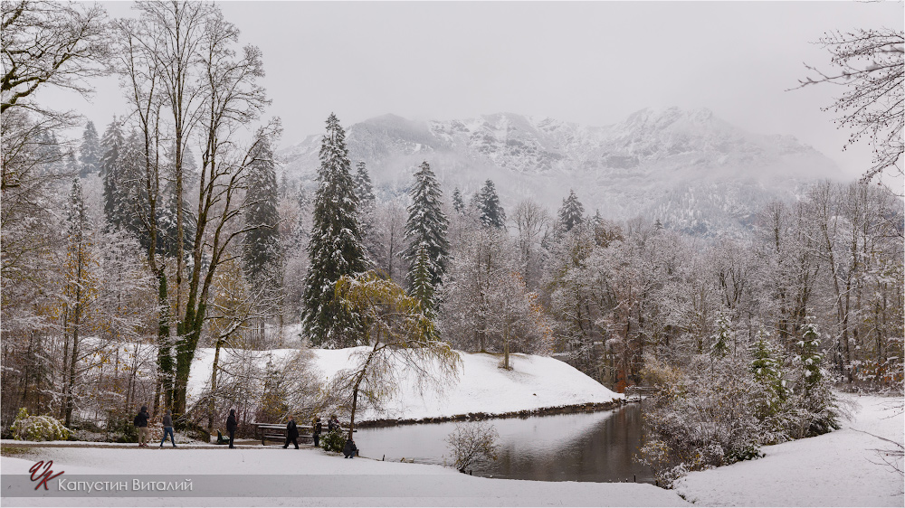 20141106 11 36 25 CX3B9083