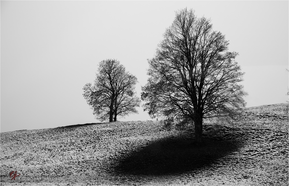 20141106 13 08 14 CX3B9288