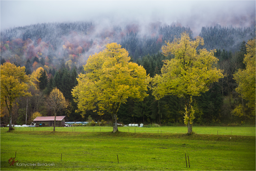 20141106 13 31 44 CX3B9307