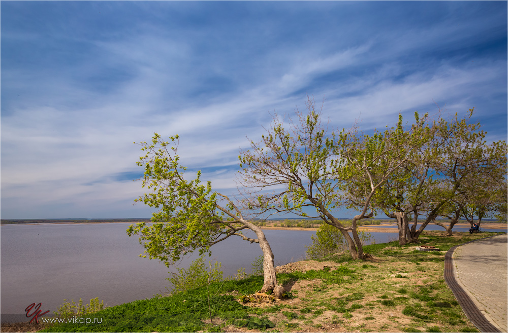 20150511 12 16 35 VIK 0244