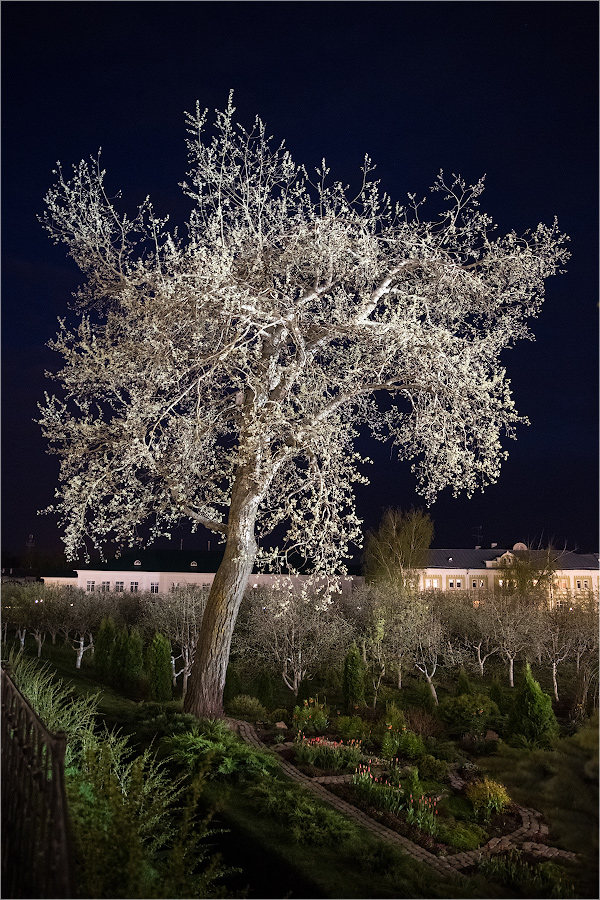 20160502 21 05 29 VIK 1493