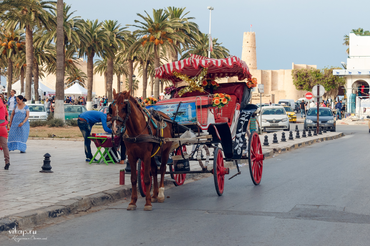 20170513 19 56 37 IMG 6278