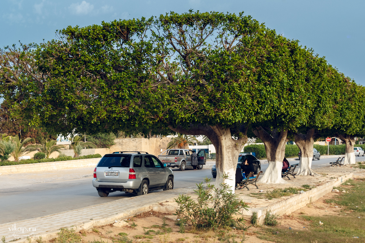 20170513 20 04 51 IMG 6298