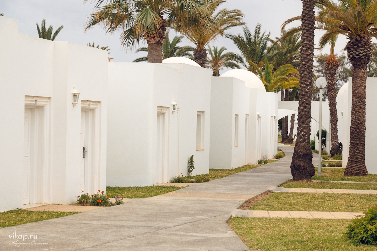 20170514 18 24 34 IMG 6353