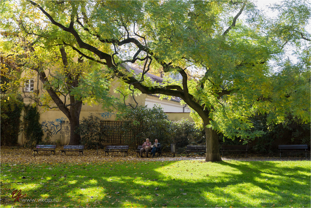 20131021 16 58 26 WED 3942