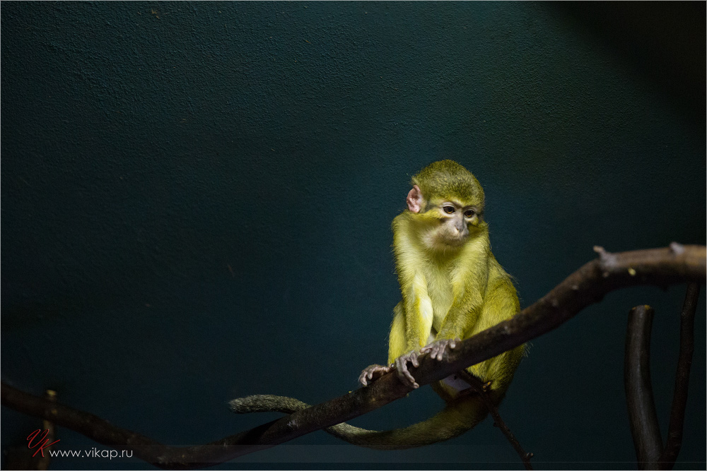 20131025 18 55 38 WED 6290