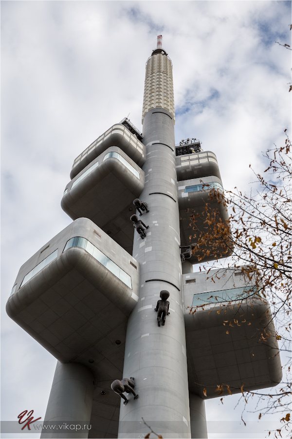 20131027 14 48 09 WED 7015