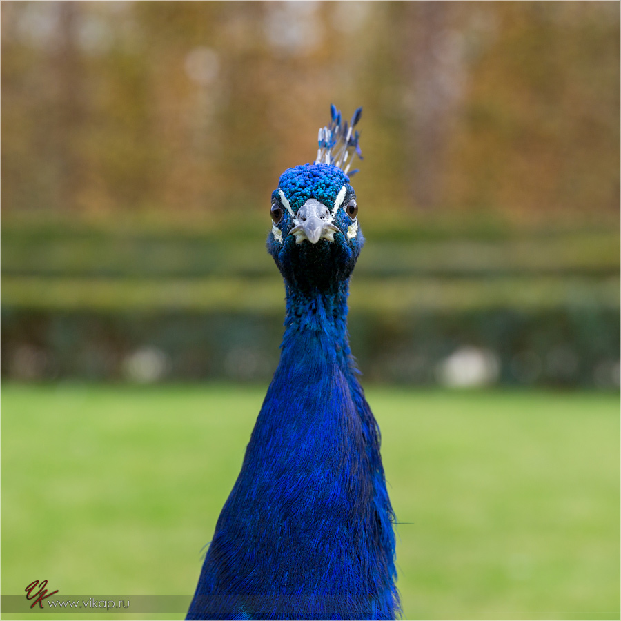 20131028 14 53 12 WED 7359