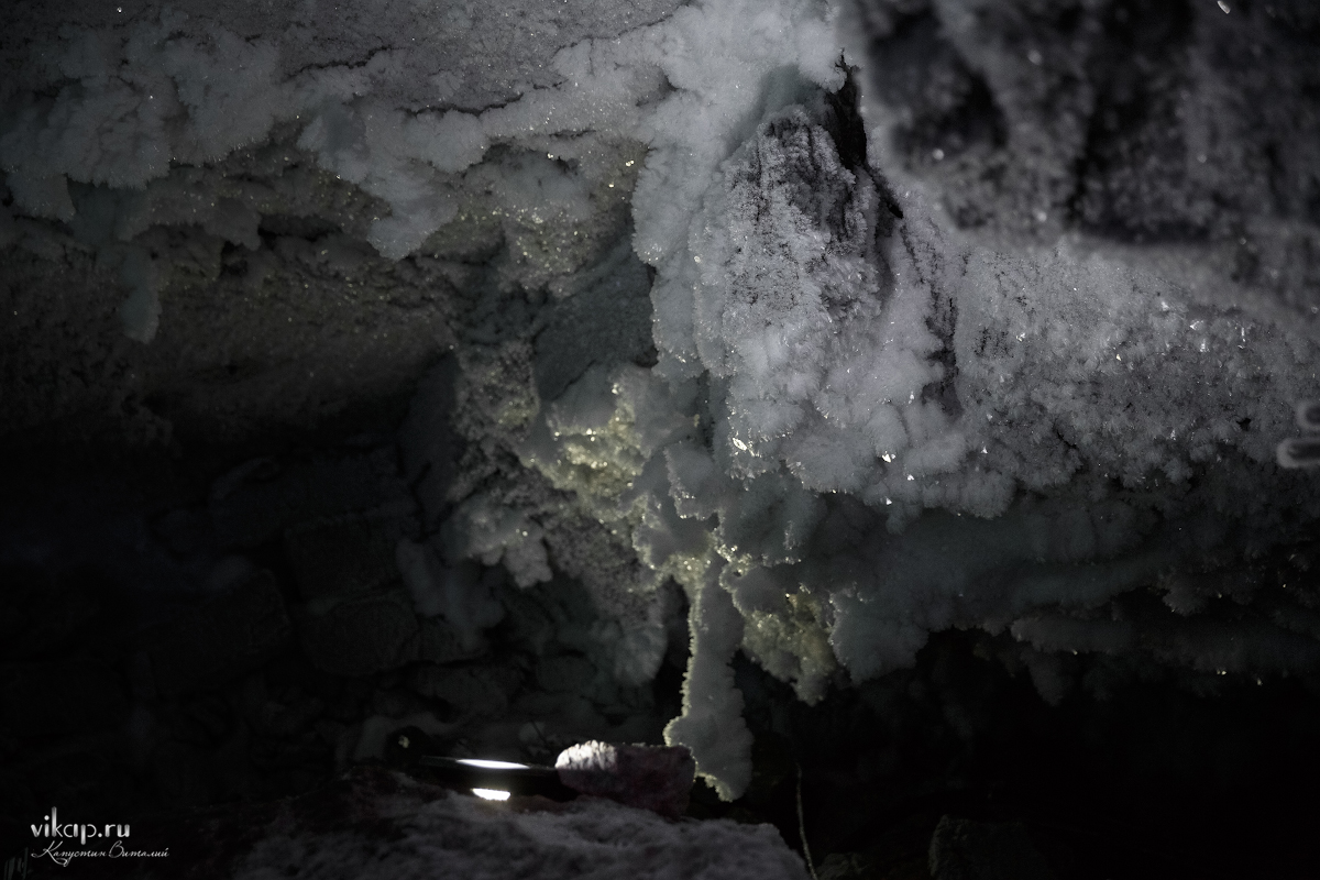 20170625 14 00 05 VIK 4957