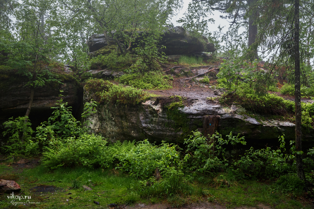 20170626 11 13 00 VIK 5042