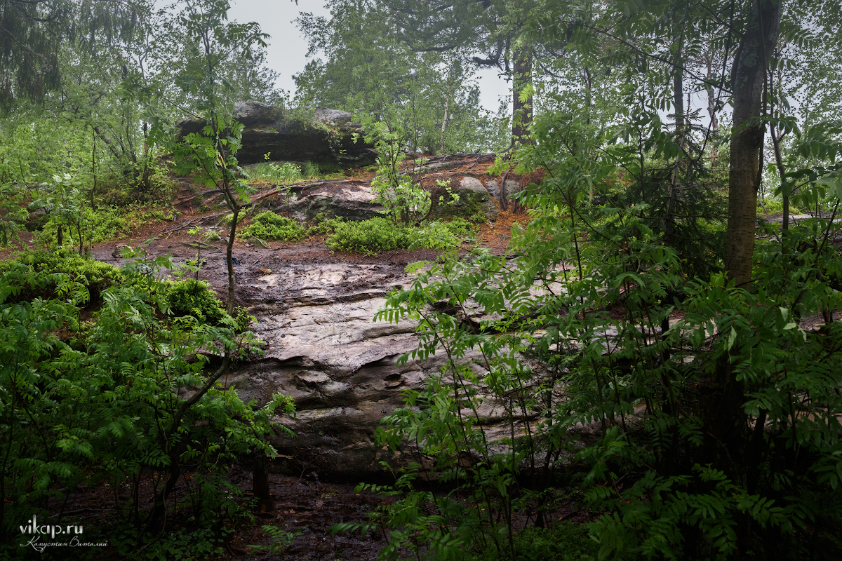 20170626 11 13 37 VIK 5044