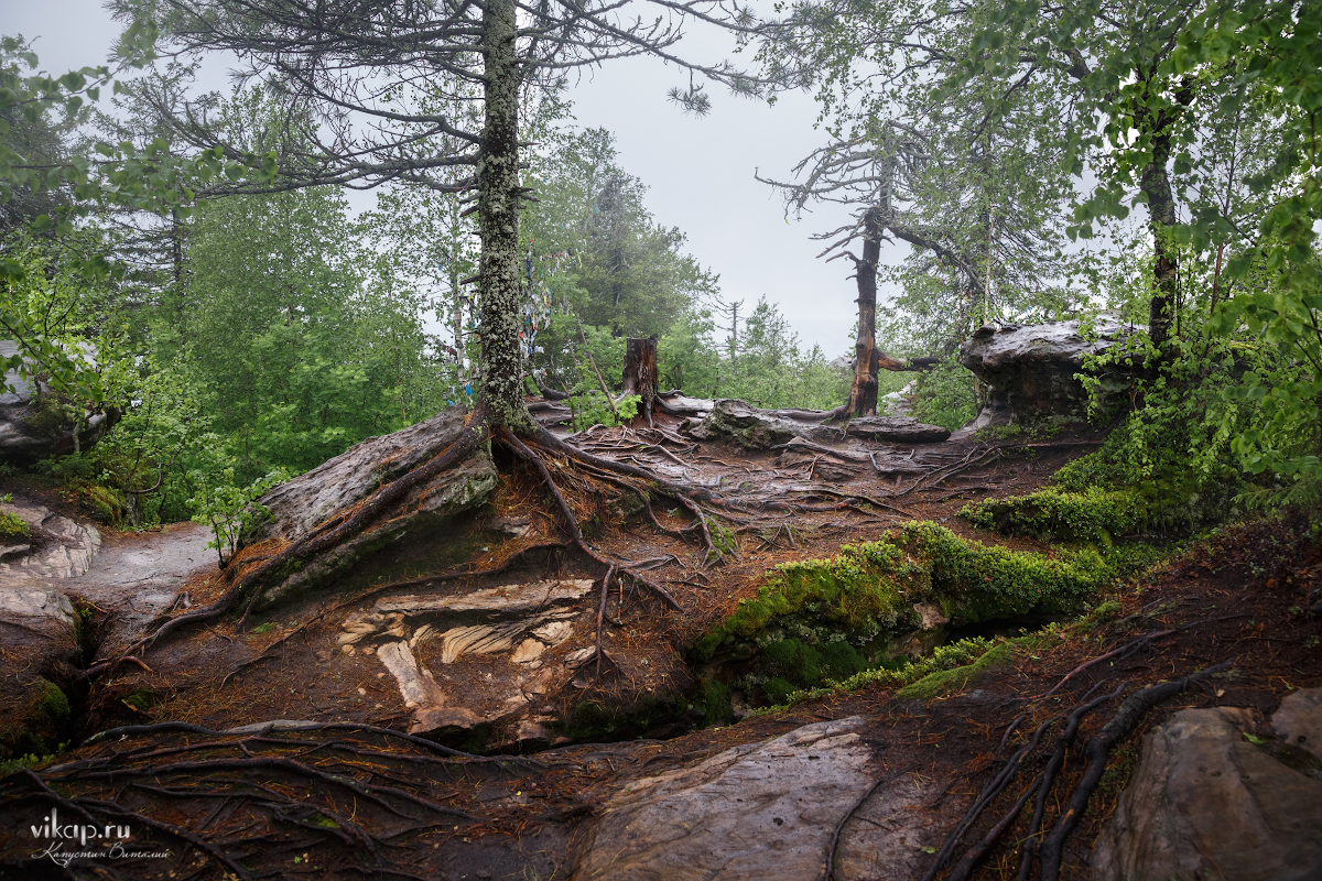 20170626 11 15 38 VIK 5047