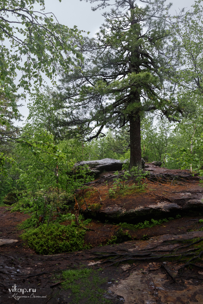 20170626 11 15 59 VIK 5048