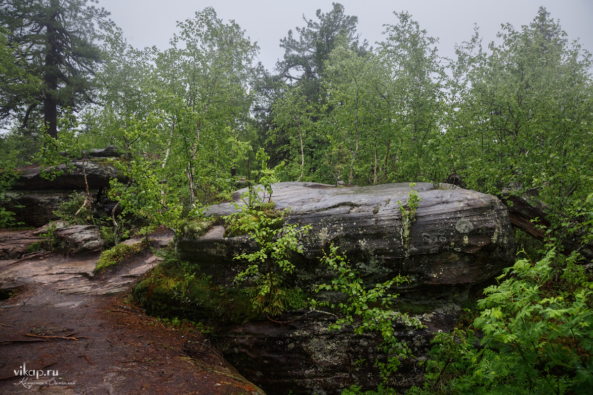 20170626 11 18 26 VIK 5054