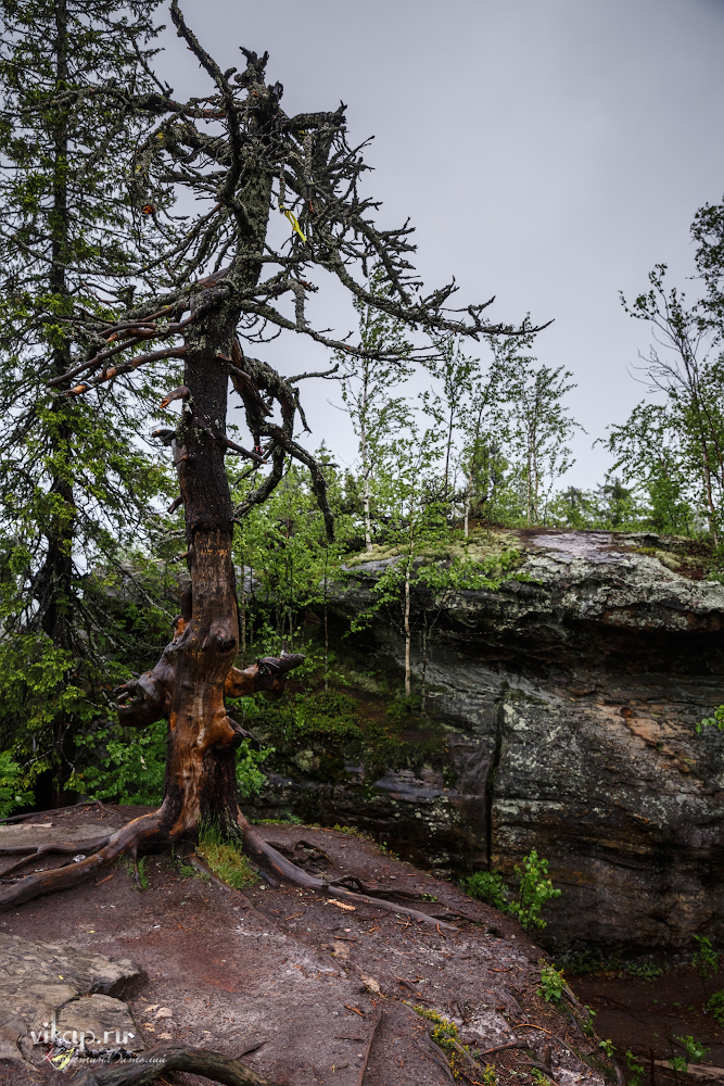 20170626 11 18 34 VIK 5055