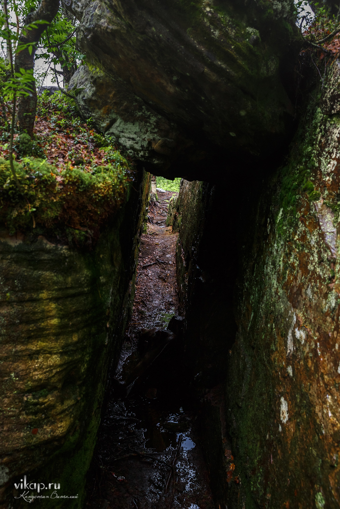 20170626 11 24 02 VIK 5062