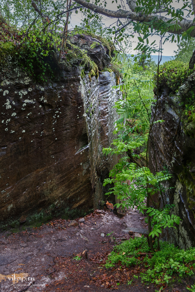 20170626 11 26 26 VIK 5066