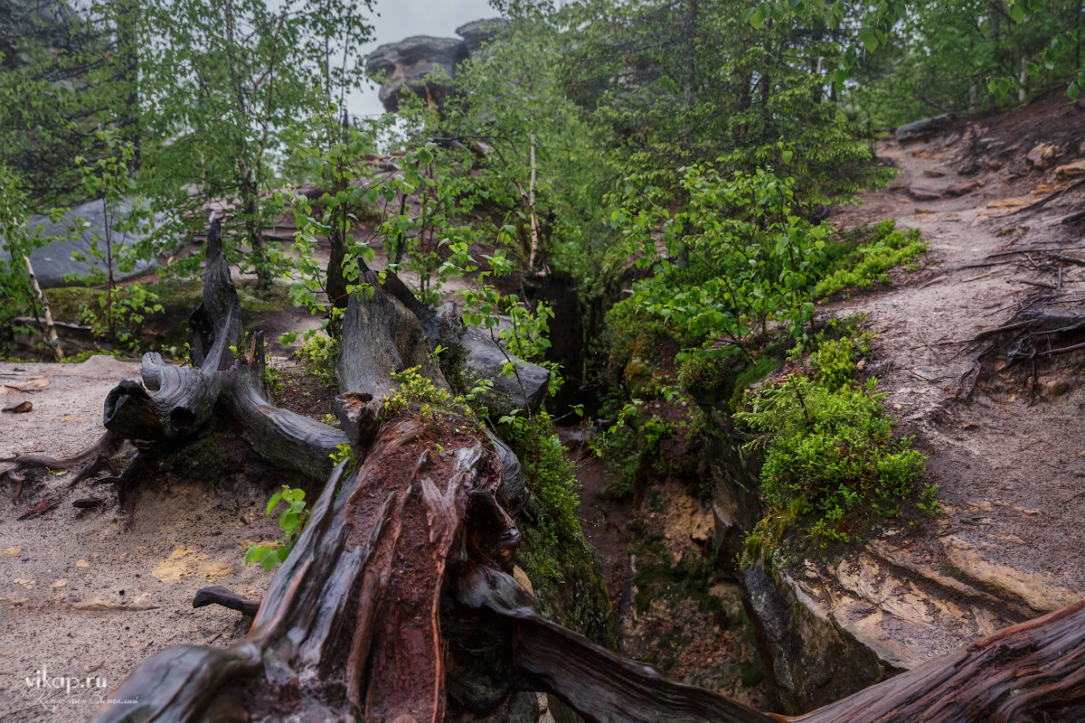 20170626 11 26 54 VIK 5067