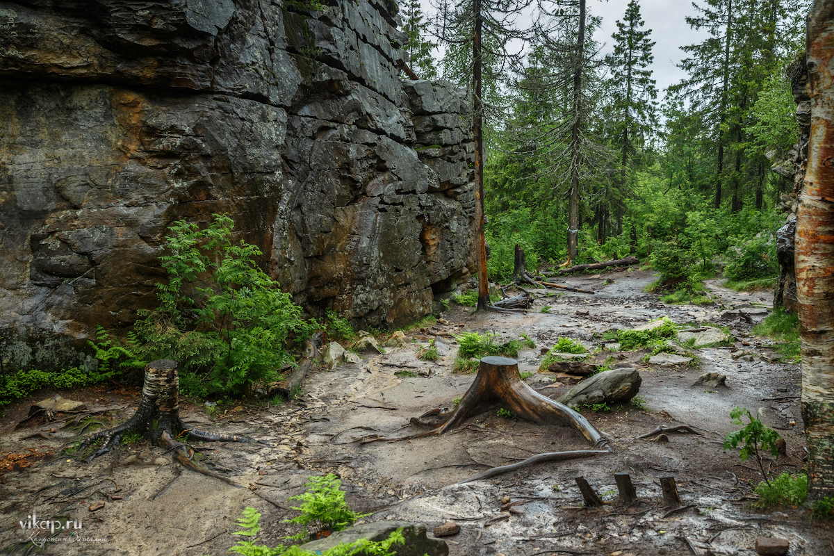 20170626 11 34 31 VIK 5082