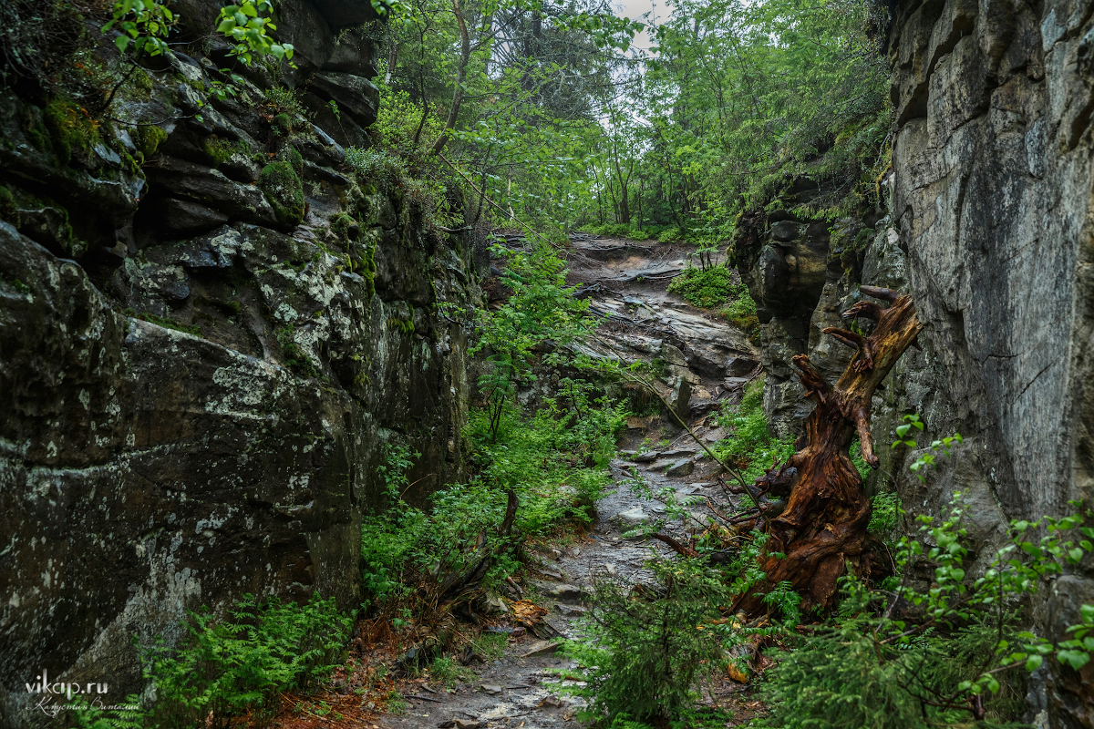 20170626 11 34 39 VIK 5083