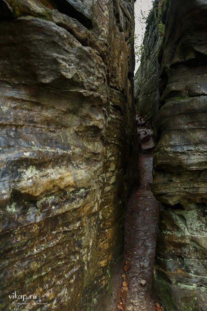 20170626 11 35 04 VIK 5084