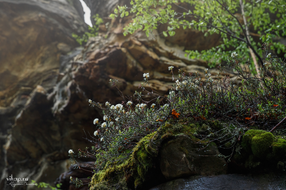 20170626 11 37 45 VIK 5090