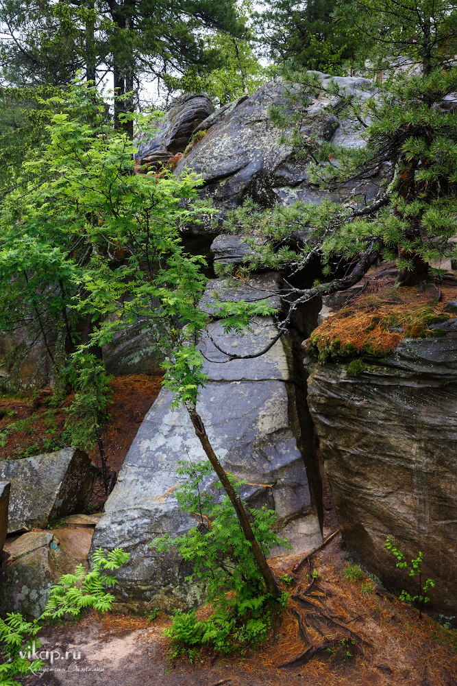 20170626 11 44 23 VIK 5099