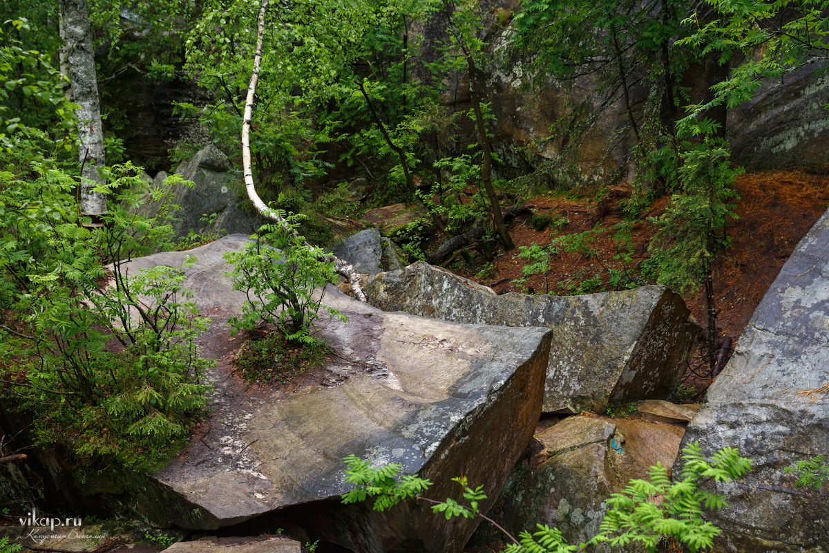 20170626 11 44 47 VIK 5102